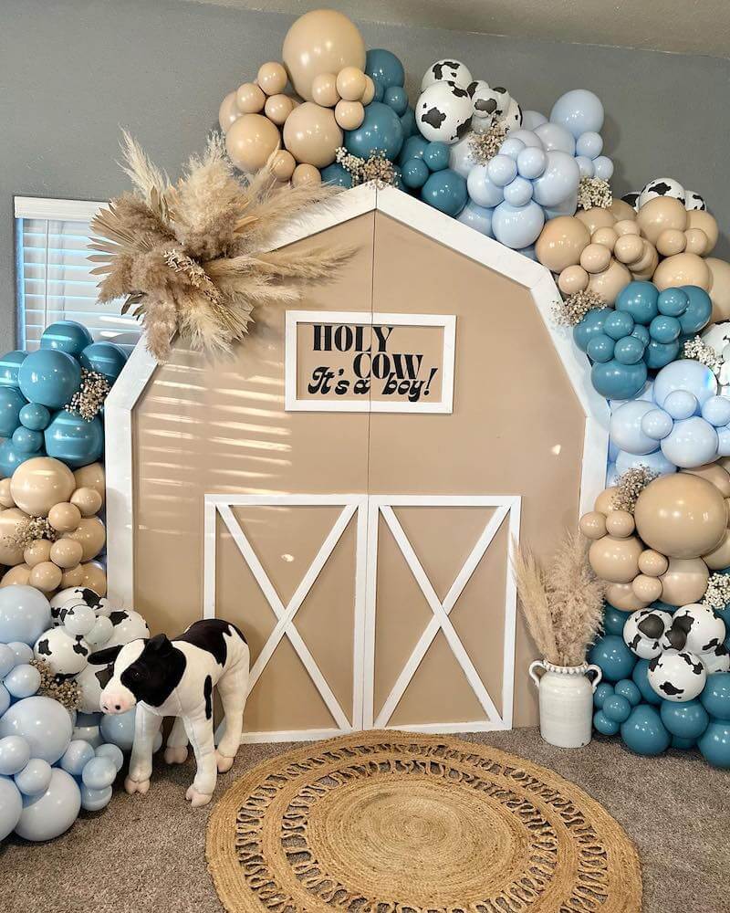 boy baby shower ideas