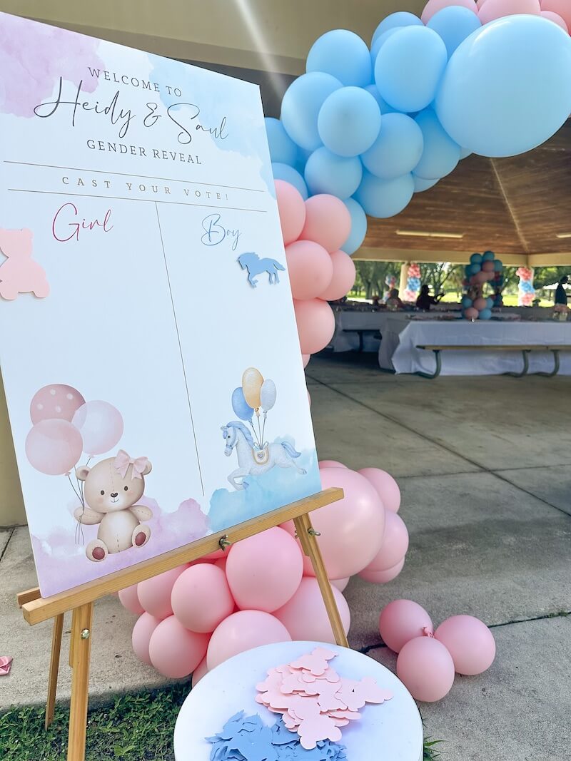 gender reveal ideas for party