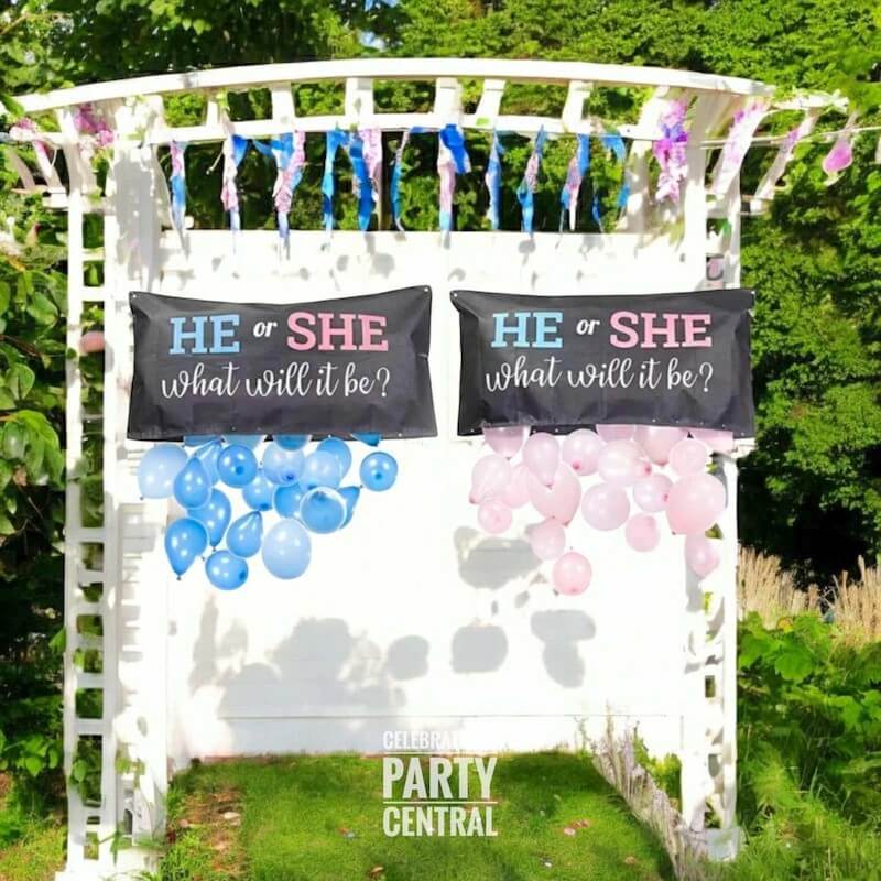 gender reveal ideas for party