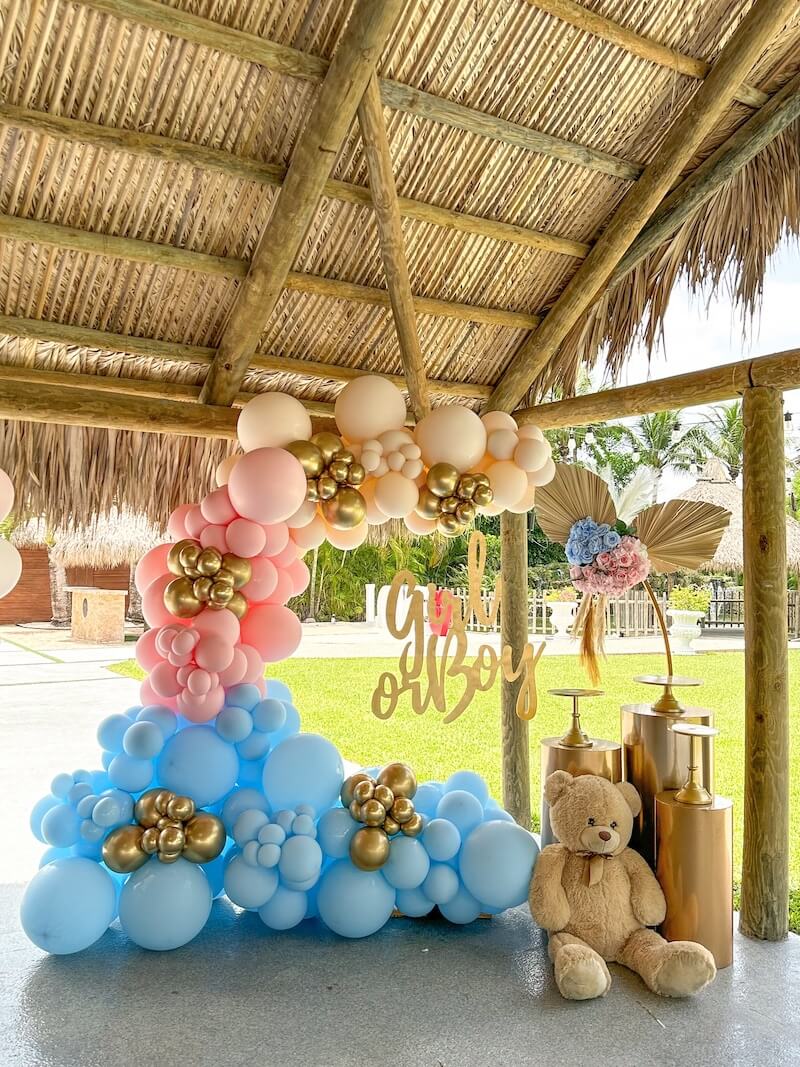 gender reveal ideas for party