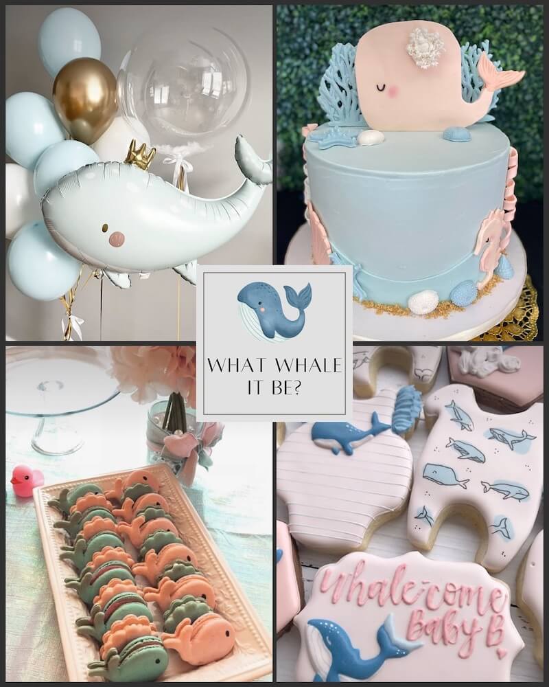 gender reveal themes