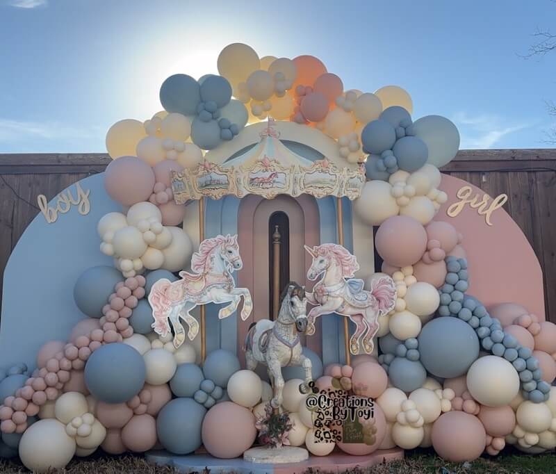 gender reveal themes