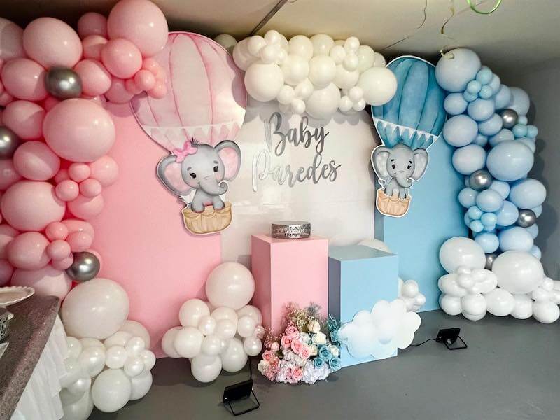 gender reveal themes