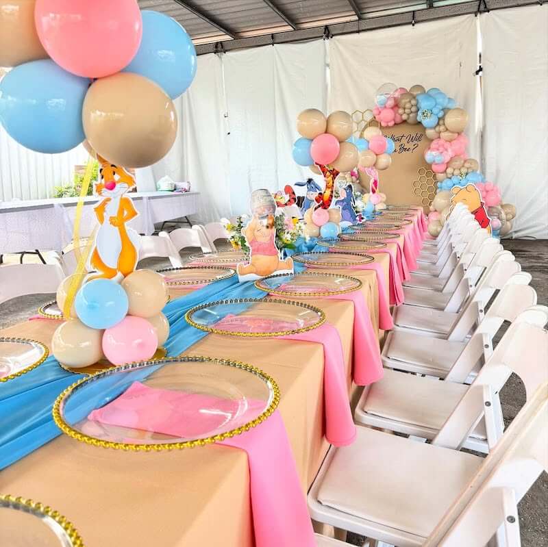 gender reveal themes
