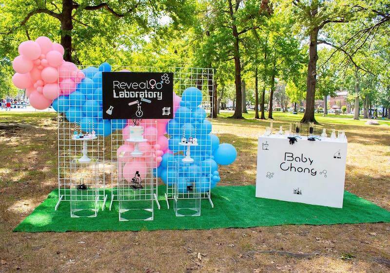 gender reveal themes