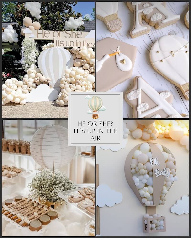 gender reveal themes