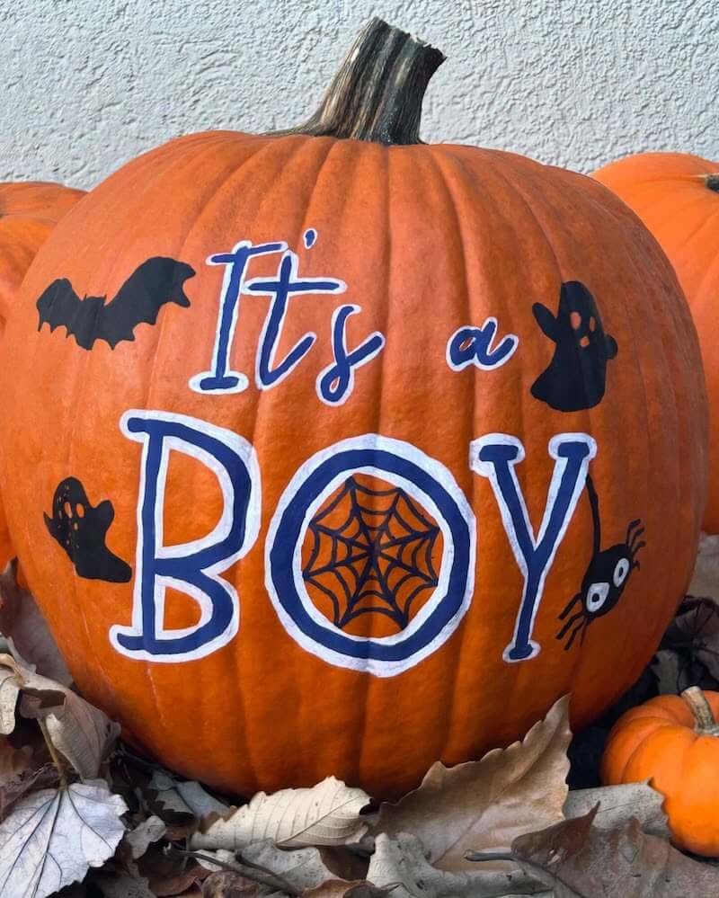 simple gender reveal ideas