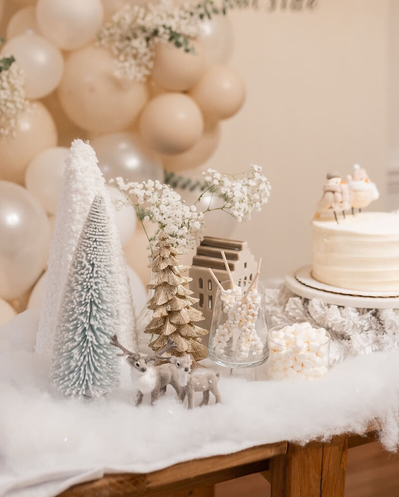 winter baby shower ideas