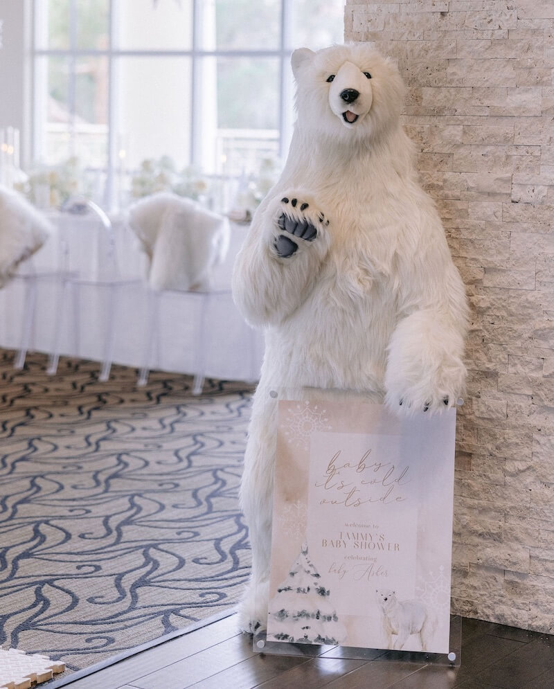 winter baby shower ideas
