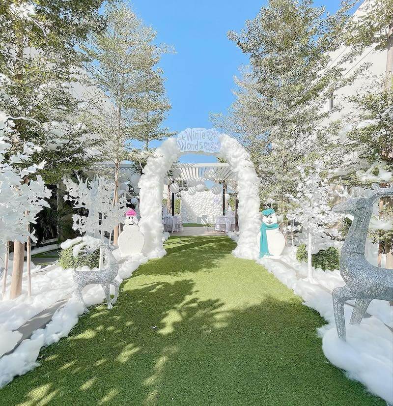 winter gender reveal ideas