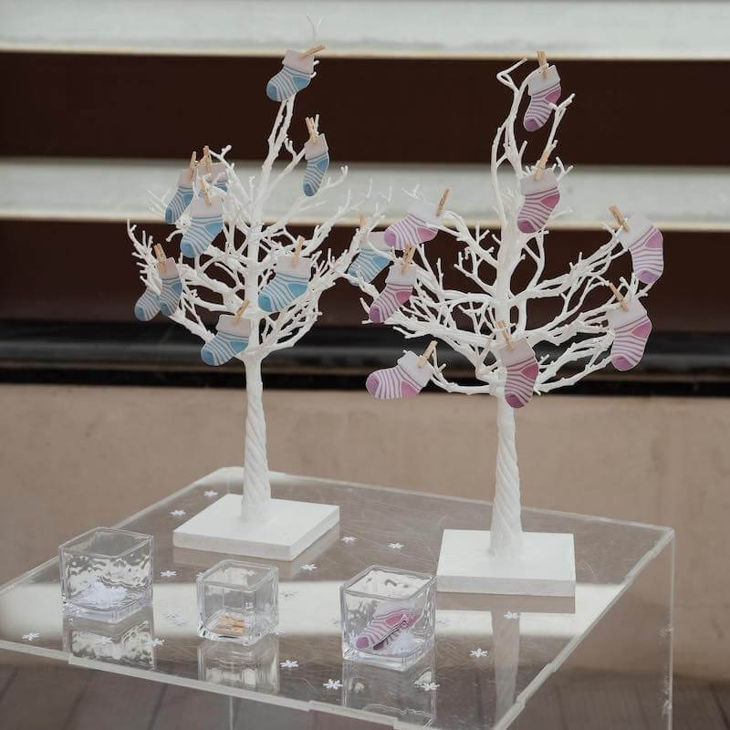 winter gender reveal ideas