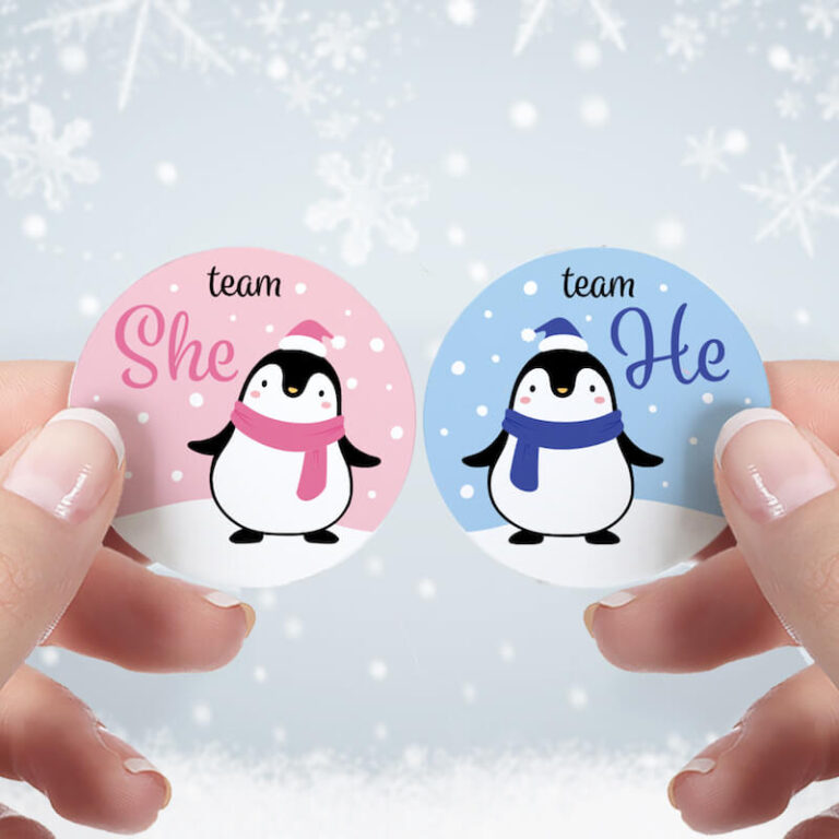 winter gender reveal ideas