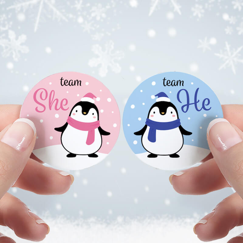 winter gender reveal ideas