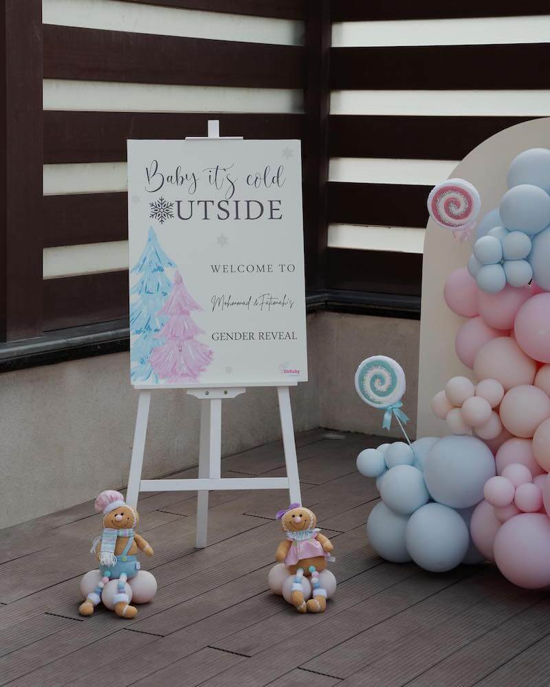 winter gender reveal ideas
